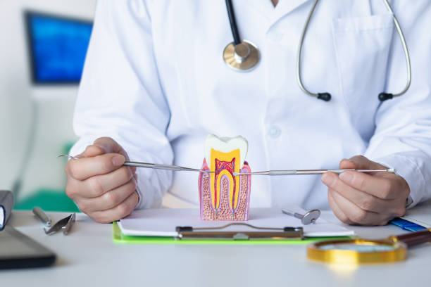 Best Emergency Dentist for Knocked-Out Tooth in Barrington, IL